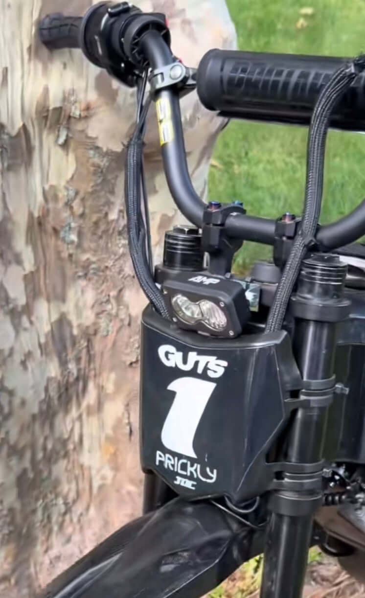 Battery Power Baja Lights With Horn