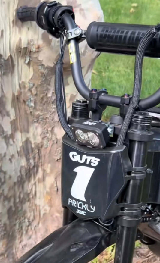 Battery Power Baja Lights With Horn